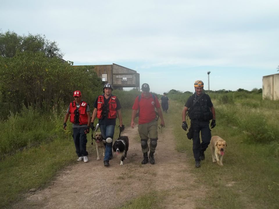 La División Canina de Bomberos Voluntarios también trabaja en la búsqueda de Nicolás Castillo