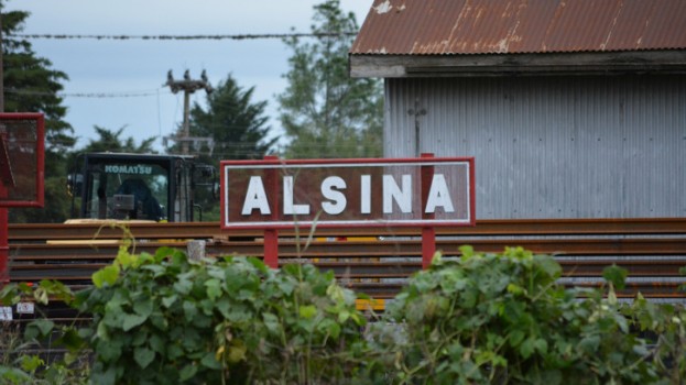 Aberrante caso de crueldad animal en Alsina