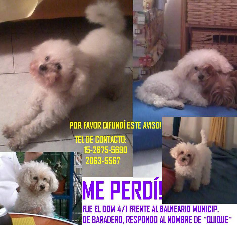 Buscamos a Kike