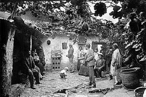 Sapo violento (1918)