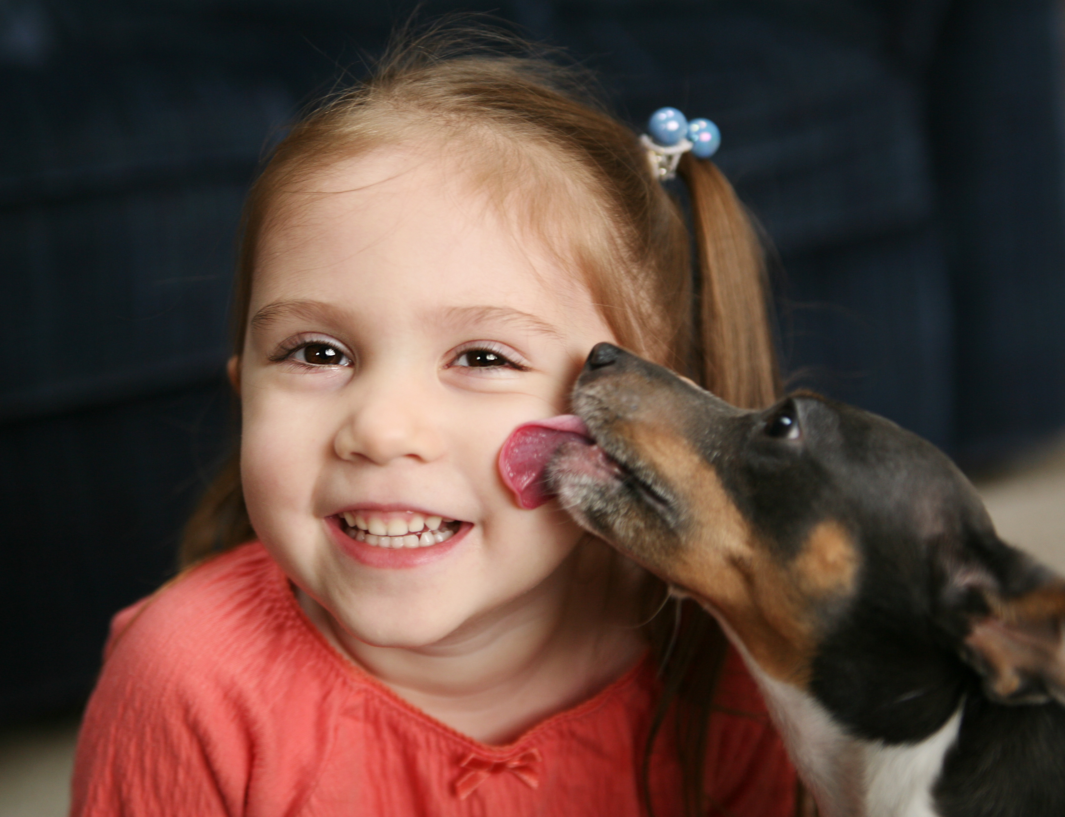 Tenencia Responsable de Mascotas
