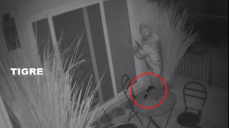 El robo a la casa de Massa fue ejecutado por un agente de inteligencia