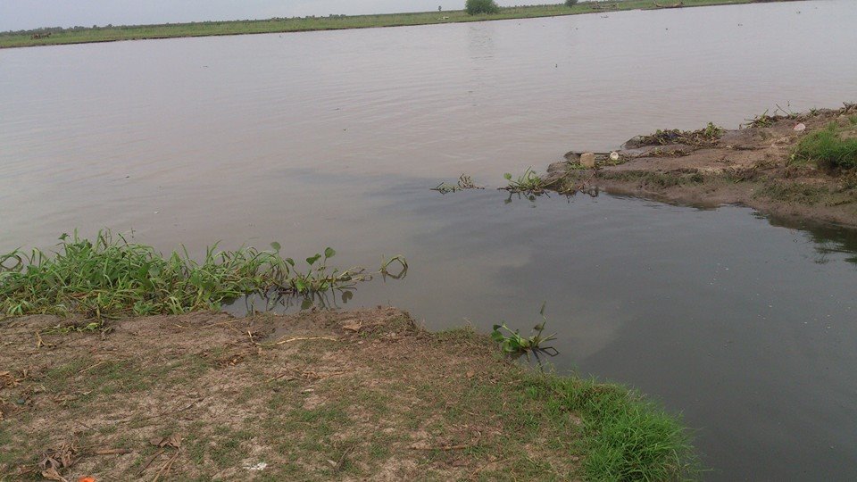 Las aguas bajan turbias