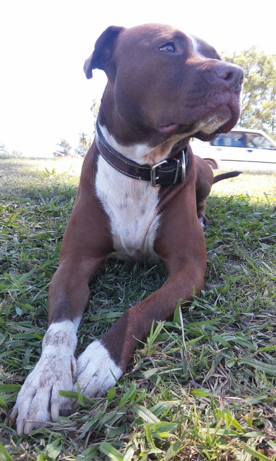 Buscamos a Uma