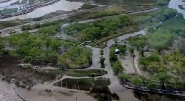 El Delta del Paraná en peligro