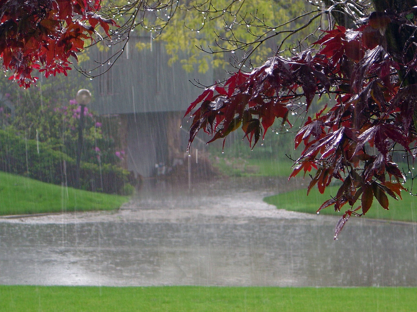 Lluvia en Baradero