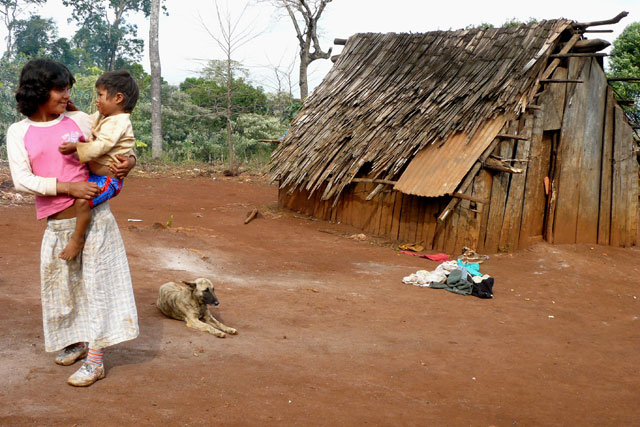 Restituirían seis mil hectáreas a comunidades guaraníes de Misiones