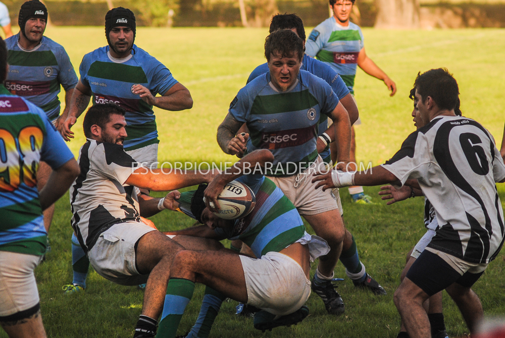 Escorpión Mortal