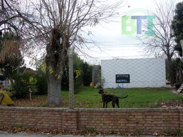 «Si cerrara Actitud Animal y el Refugio de Ely tendríamos 2000 perros en la calle»