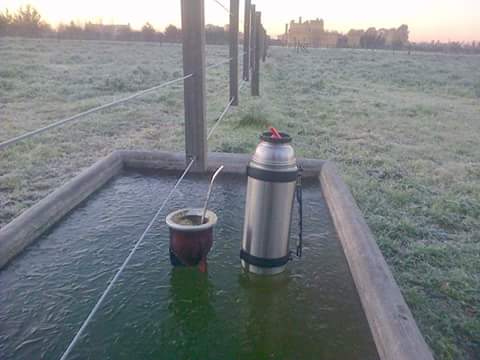 Foto del día