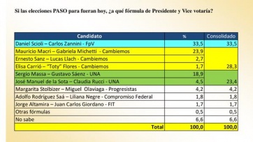 Encuesta: Scioli 33,5, Macri 23,9 y Massa 18,9