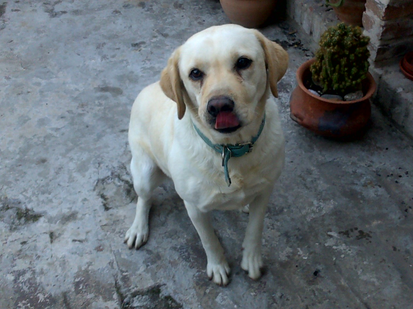 Se busca