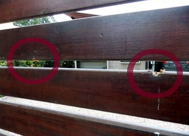 Violento asalto y tiroteo en San Pedro