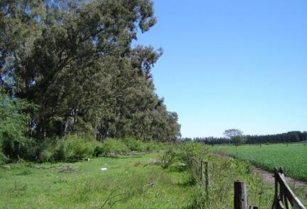 Encuentran deambulando por el paraje «la paloma» a un hombre de Pilar