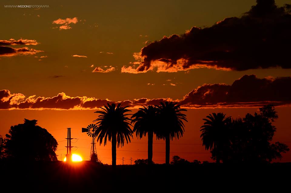 Foto del día