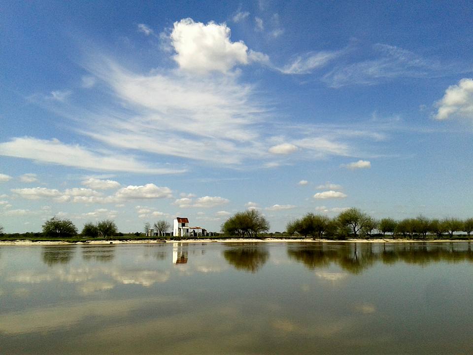 Foto del Día
