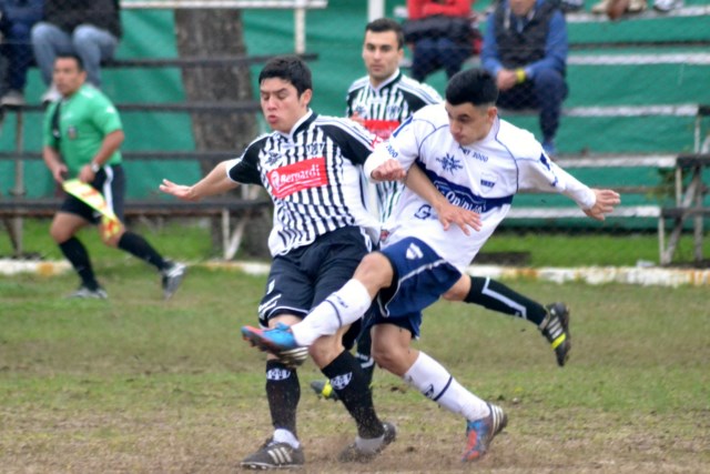 Foto del día