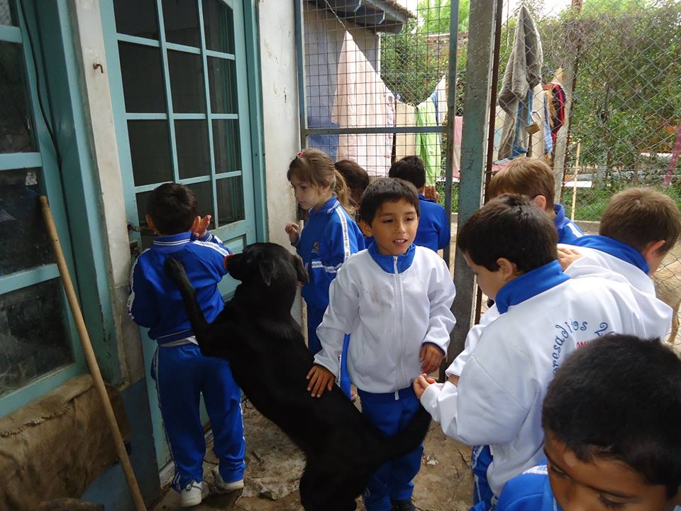 Jardín Adventista visitó Refugio de Actitud Animal