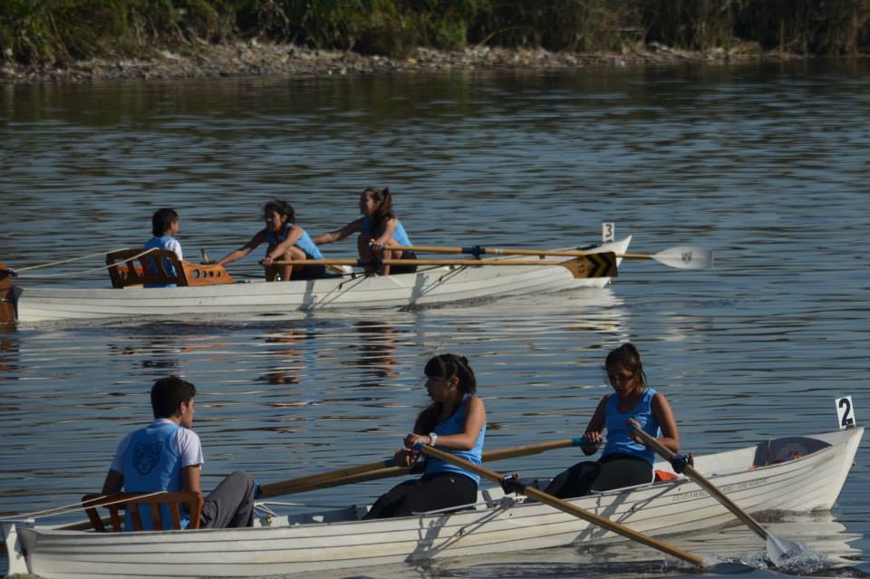 El remo en Tigre se vive a toda hora