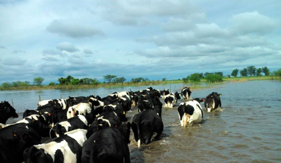Crecida del Río: Defensa Civil de la provincia se reunió con autoridades municipales