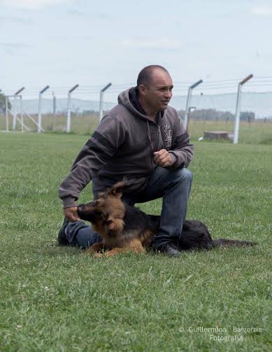 Curso de entrenamiento canino nivel I