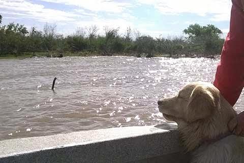 Tragedia en el Río Paraná. Después de 50 días continua la búsqueda del último de los desaparecidos