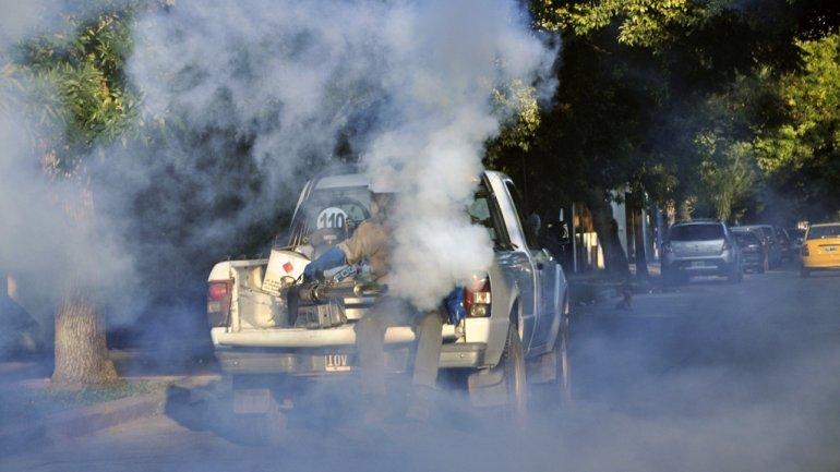 Para el ministerio de Salud, el dengue es «una epidemia»: 380 casos confirmados