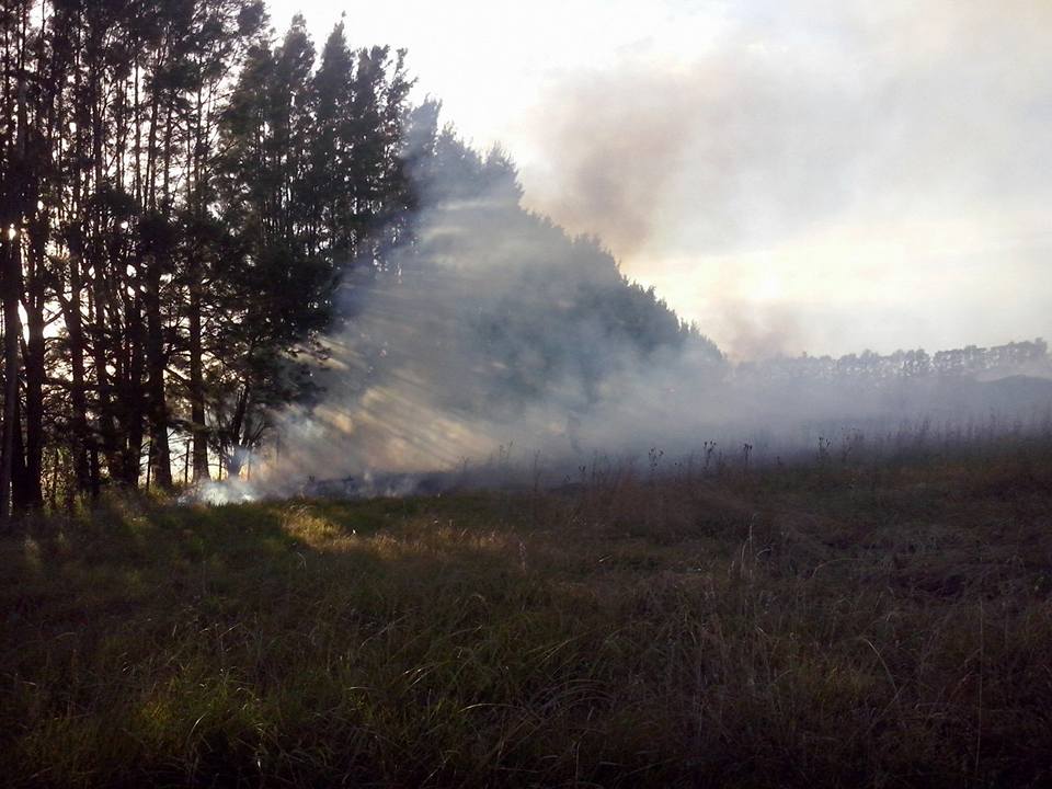 Incendio de pastizales