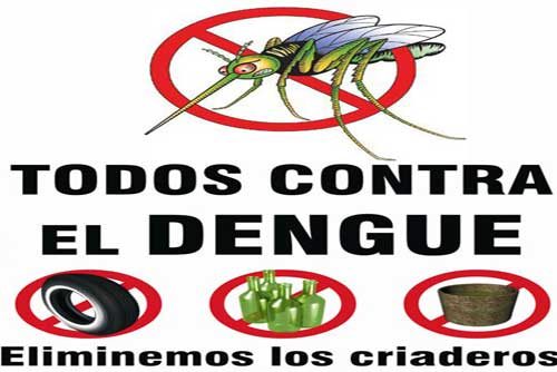 Medidas preventivas DENGUE