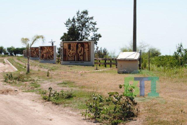 Como Pilatos. «Todos se lavan las manos»