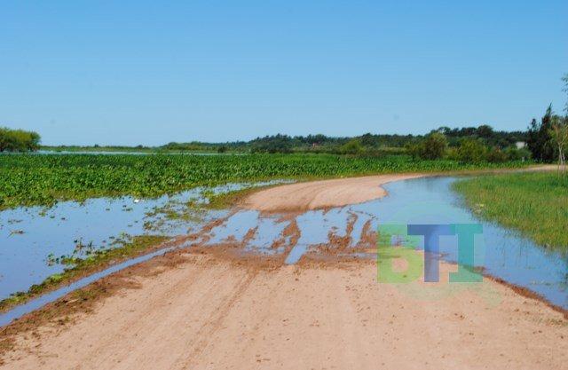 El agua avanza. 3,17 Mts. Creciendo y con sudestada