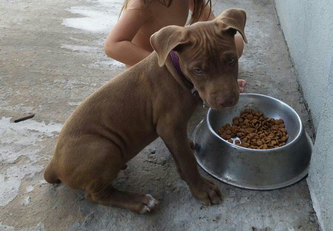 Buscamos a Simón