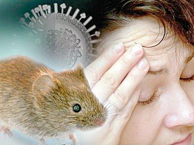Hantavirus