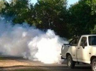 Mosquitos. No se fumiga por falta de combustible