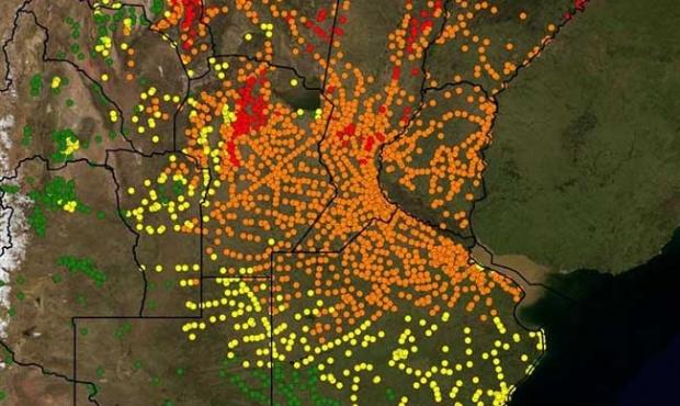 Un mapa y un celular para rastrear al mosquito del dengue en Argentina