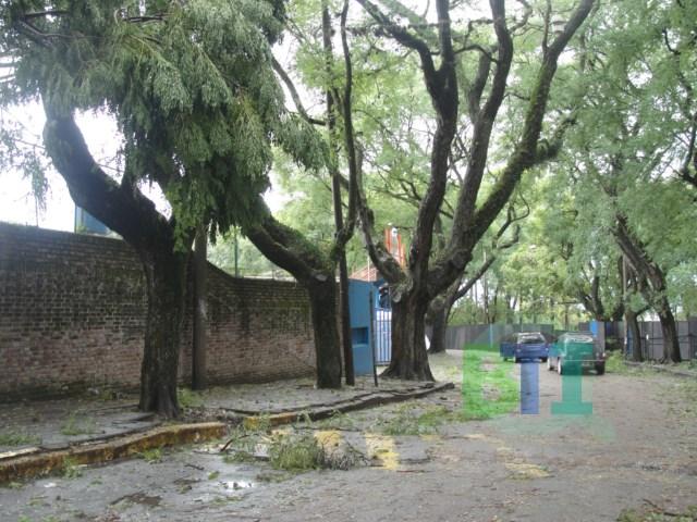 La tormenta causó destrozos y varias horas sin luz