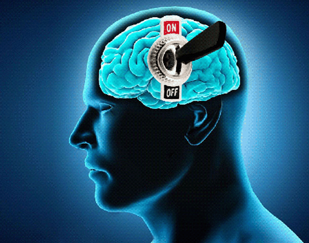 Descubrieron un «interruptor» cerebral que regula hormonas y puede frenar las ganas de comer