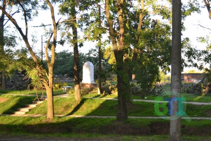 Por seguridad. Cortan arboles en la Plazoleta de la Agricultura