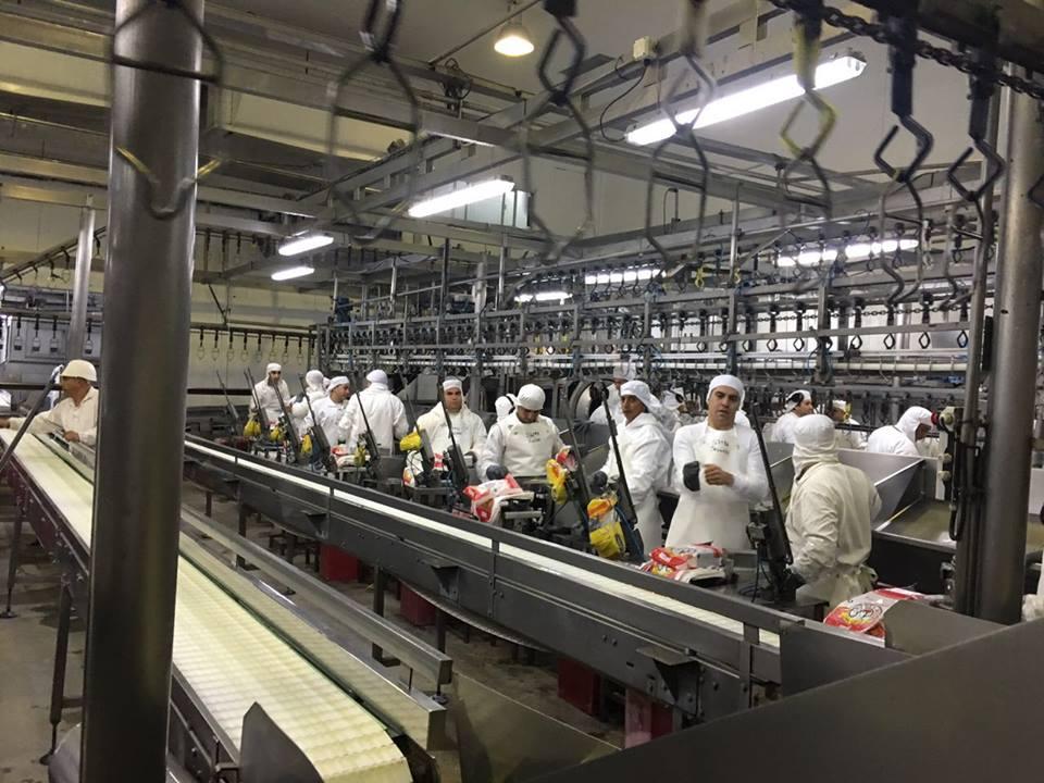Se recuperan 1000 empleos: vuelve a operar Cresta Roja