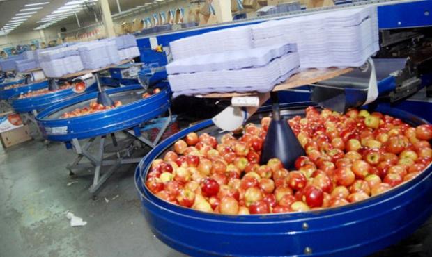 Establecimientos frutícolas de Río Negro recibieron boletas de luz de hasta 500 mil pesos