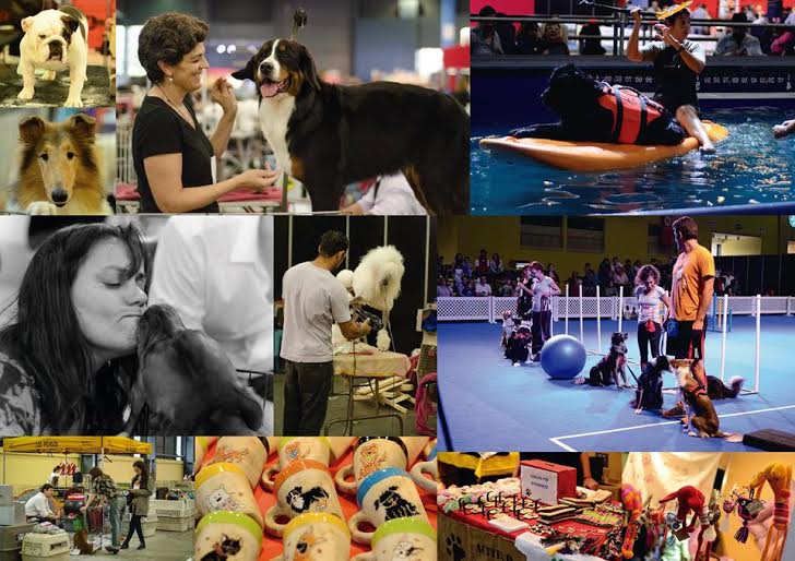 Actitud Animal en Nuestros Perros 2016
