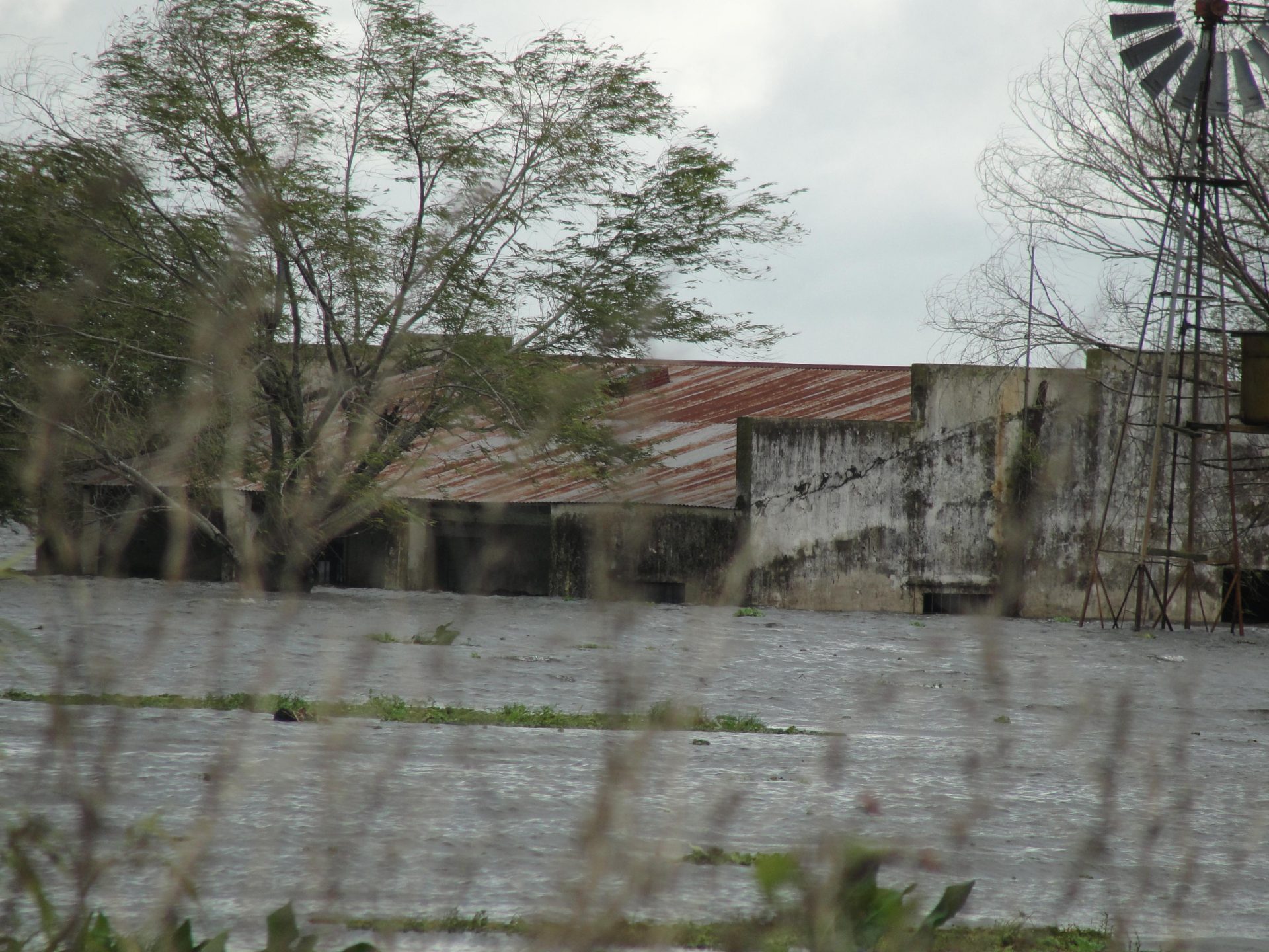 Basta de inundaciones
