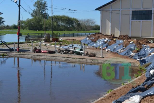 El río bajó a 4,56 Mts y continúan los trabajos en la costa