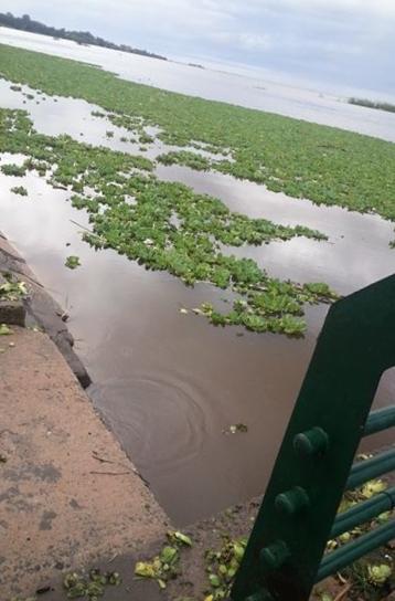 Las inundaciones en Baradero