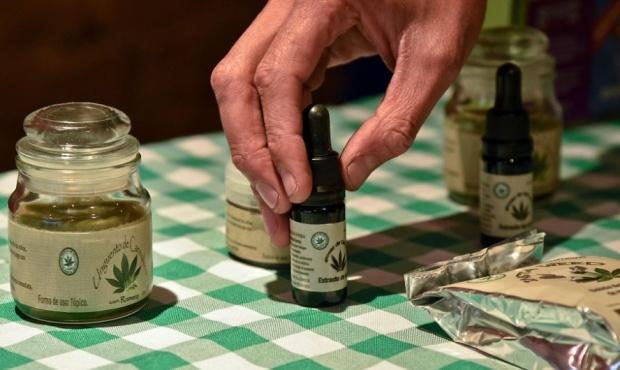 El cannabis medicinal se instala en la provincia de Buenos Aires