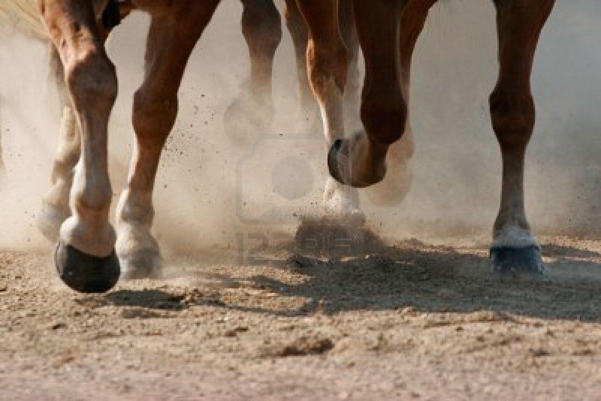Roban cuatro caballos