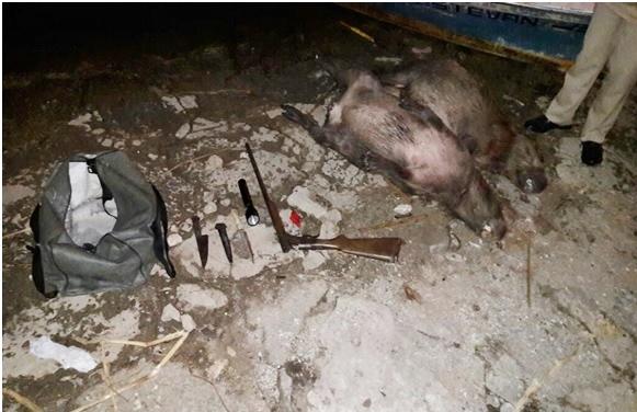 Operativo de prefectura en el Río Baradero