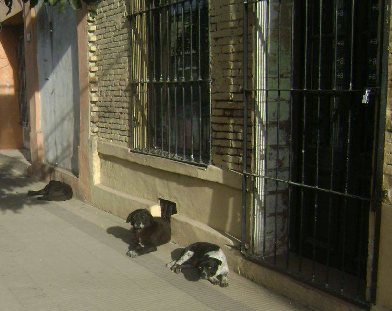 El frío cala hondo. «El poncho de los pobres»… y algo más