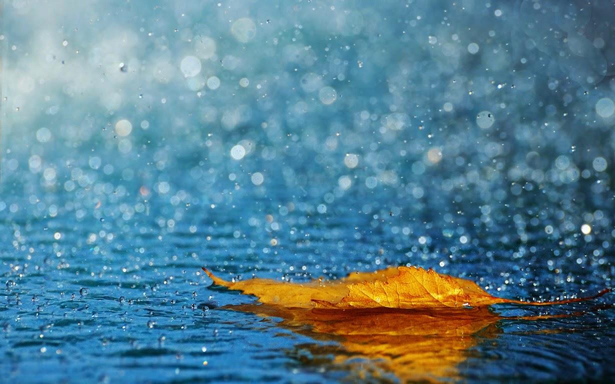 Lluvia en Baradero