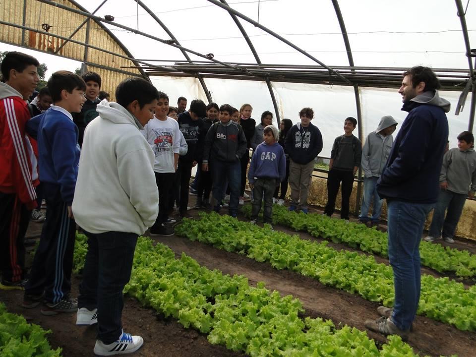 Nativas, frutas y hortalizas para escuelas